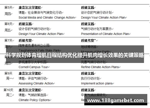 科学规划体育增肌日程结构优化提升肌肉增长效果的关键策略