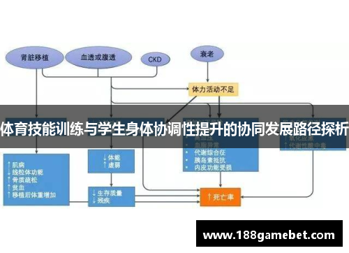 体育技能训练与学生身体协调性提升的协同发展路径探析